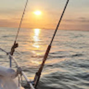 Meet your Posher, Allie